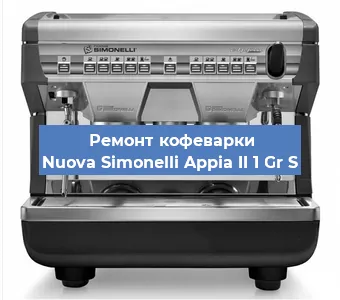 Чистка кофемашины Nuova Simonelli Appia II 1 Gr S от кофейных масел в Москве